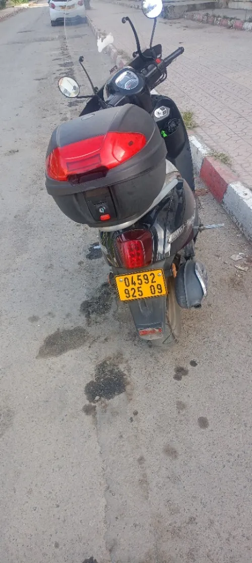 Vms Panarya 2025