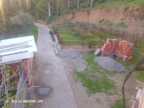 Vente Bungalow F3 Boumerdès Ouled aissa