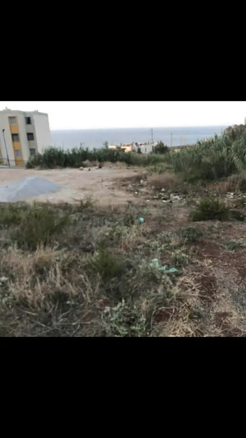 Vente Terrain Tipaza Cherchell