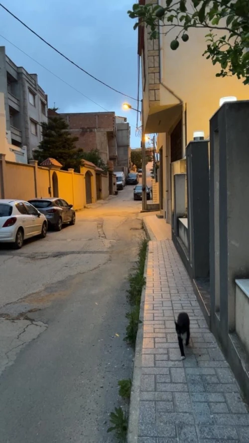 Location vacances Appartement Alger Draria