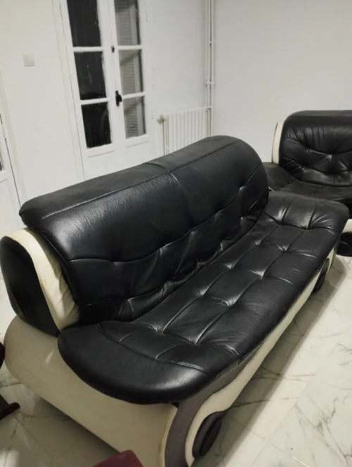 Salon en skay