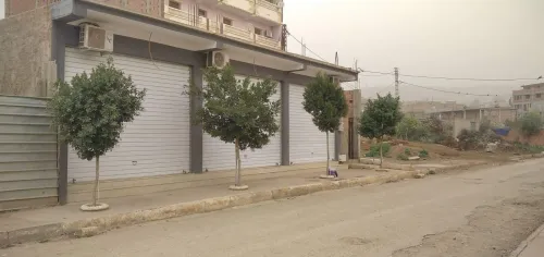 Location Local Ain defla El amra
