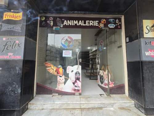 Location Local Alger Cheraga
