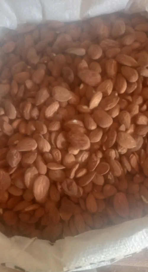 نواحي ولاية معسكر