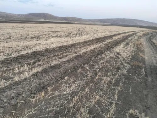 Vente Terrain Agricole Tissemsilt Khemisti