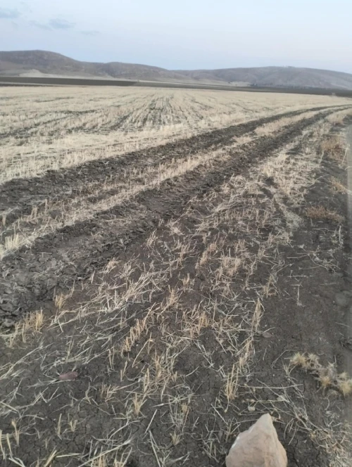 Vente Terrain Agricole Tissemsilt Khemisti