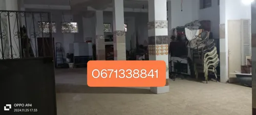 Location Hangar Alger Les eucalyptus