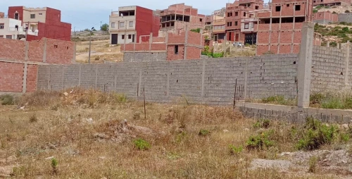 Vente Terrain Tlemcen Honaine