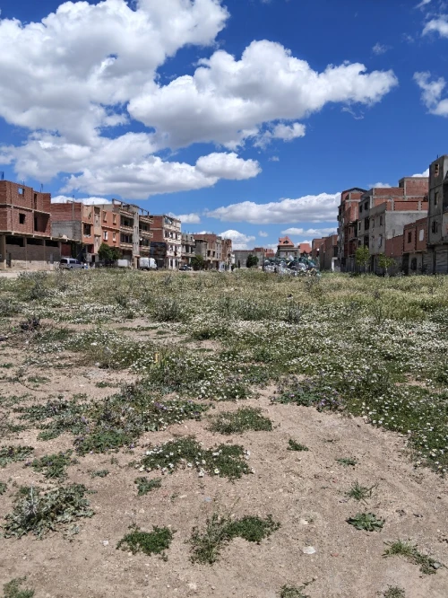 Vente Terrain Sétif Setif
