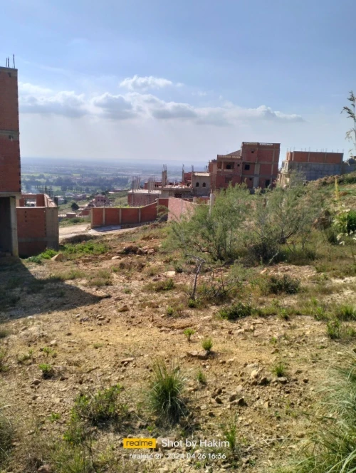 Vente Terrain Blida Meftah