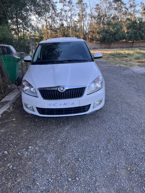Skoda Fabia 2015 Fresh