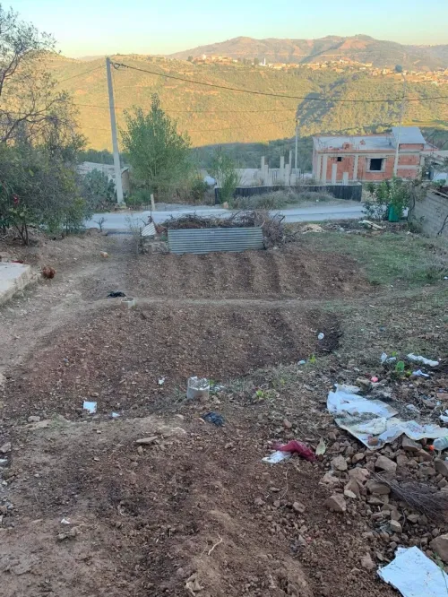Vente Terrain Boumerdès El kharrouba