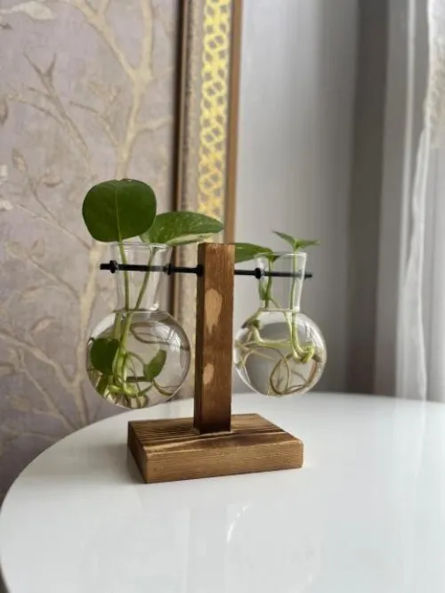 Vase pour plante Hydroponique très classe