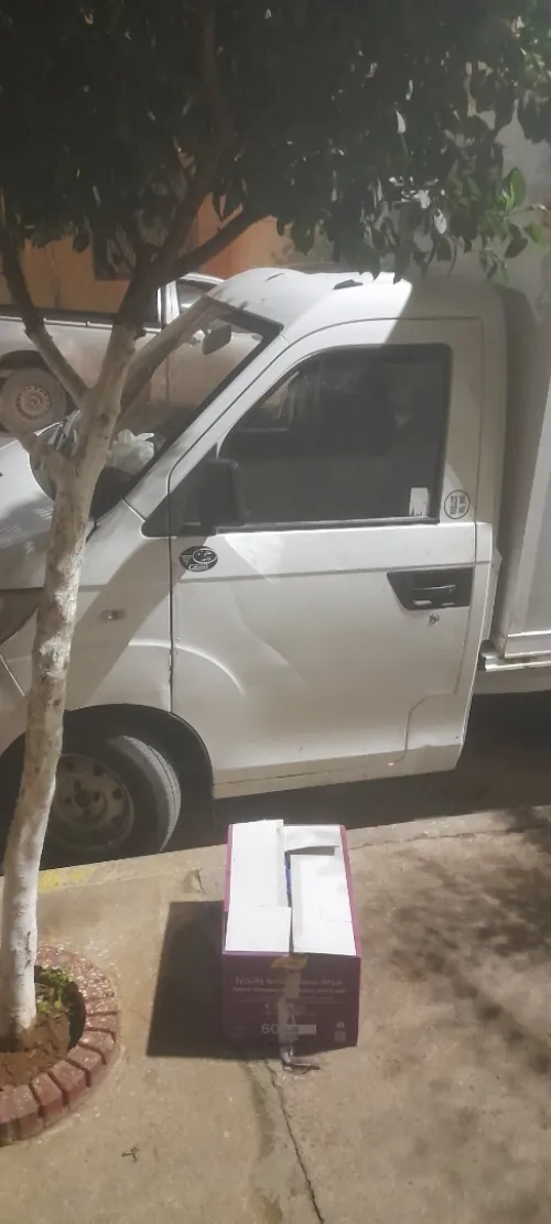 Chery Chery frigou 2018 Chery
