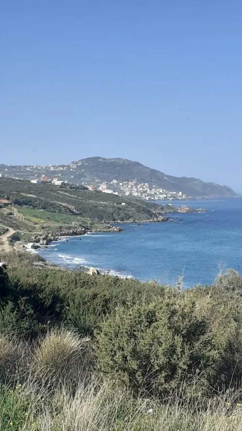 Vente Terrain Tizi Ouzou Iflissen