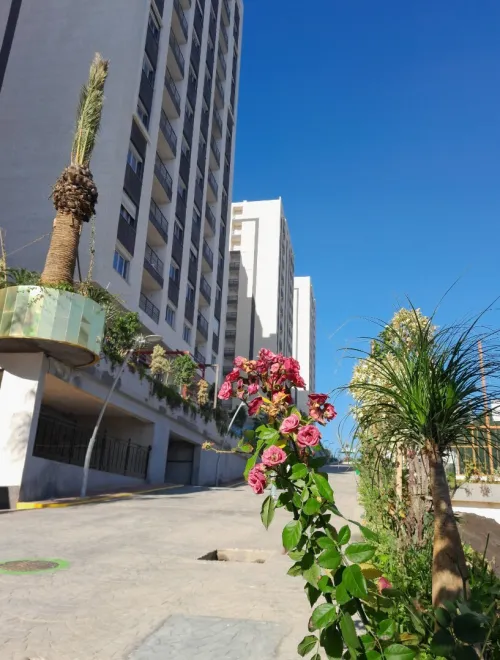 Vente Appartement Tipaza Kolea