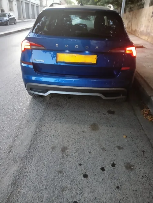 Skoda Kamiq 2022 