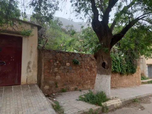 Vente bien immobilier Aïn Defla Ain torki