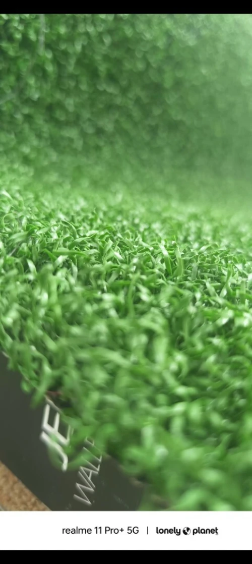 Tapis vert 4m  de large top qualité