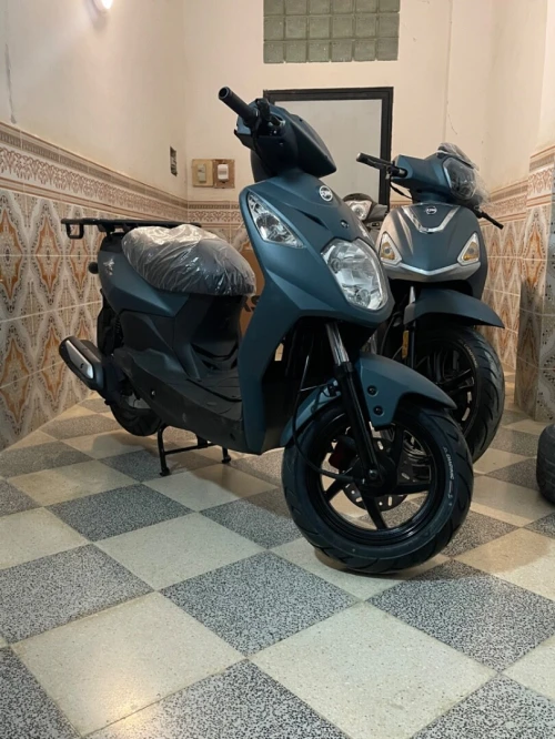 Sym X pro orbit 2026