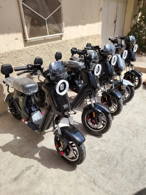 Niu scooter moto électrique MIMO ROKITTA SOUN VENTI TMAX 2025