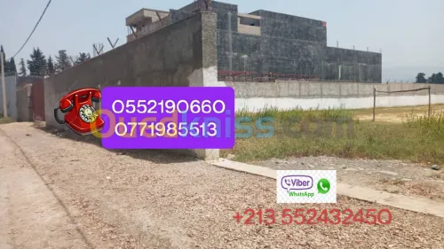 Vente Terrain Alger Birtouta