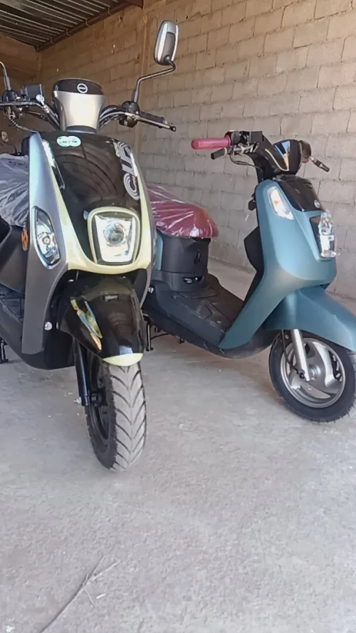 Vms Cuxi2 2025