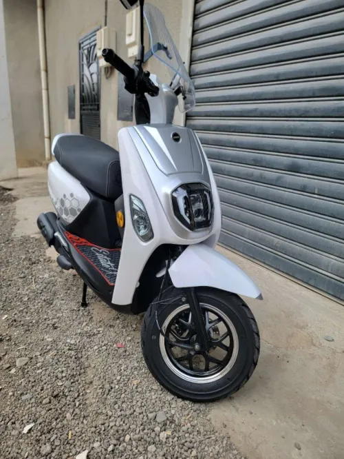 Vms Cuxi 2 estate x 2025