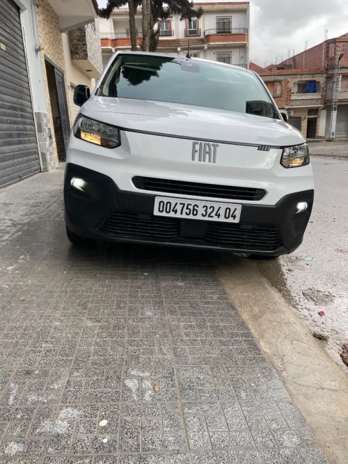 Fiat Doblo Van 2024 