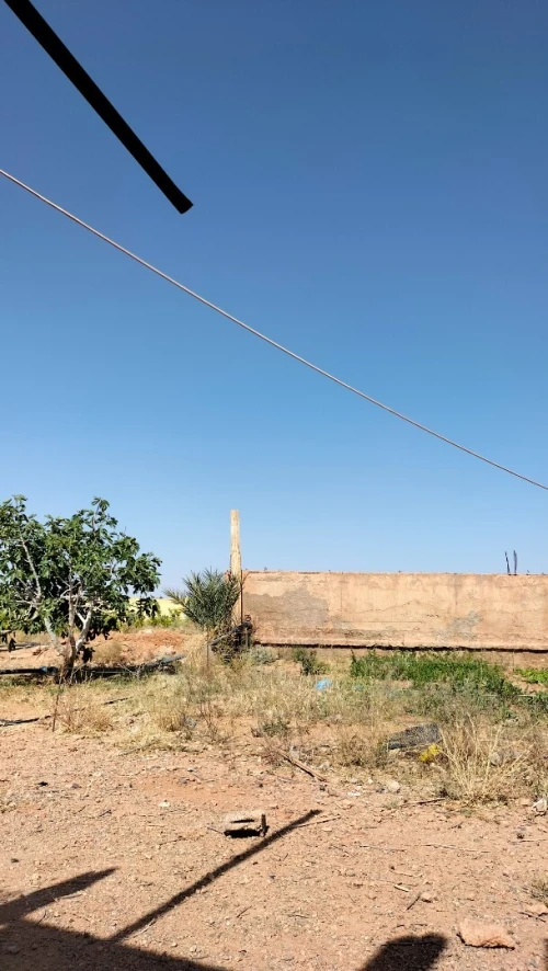 Vente Terrain Agricole Béchar Lahmar