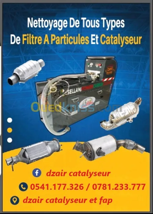 Nettoyage catalyseur et filtre à particules