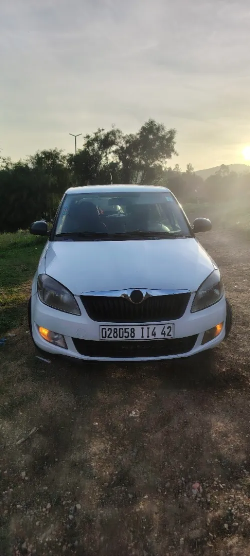 Skoda Fabia 2014 Visage