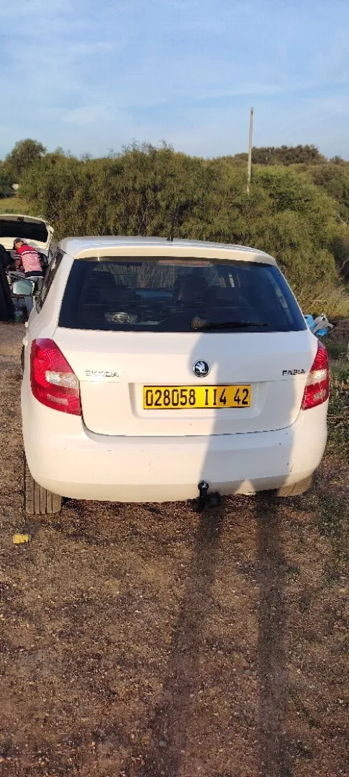 Skoda Fabia 2014 Visage