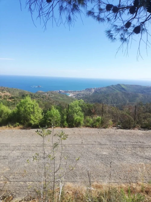 Vente Terrain Béjaïa Bejaia