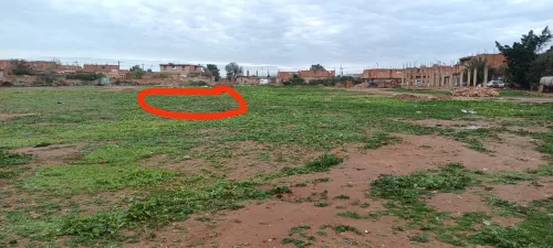 Vente Terrain Mostaganem Mostaganem