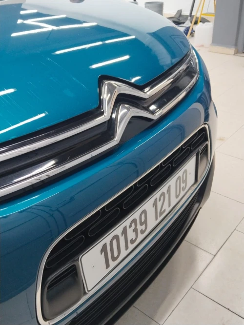 Citroen C4 Cactus 2021 C4 Cactus