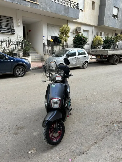 Vms cuxi Cuxi2 2024