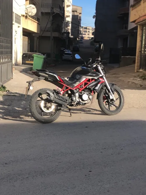 Benili Tnt 150 2019