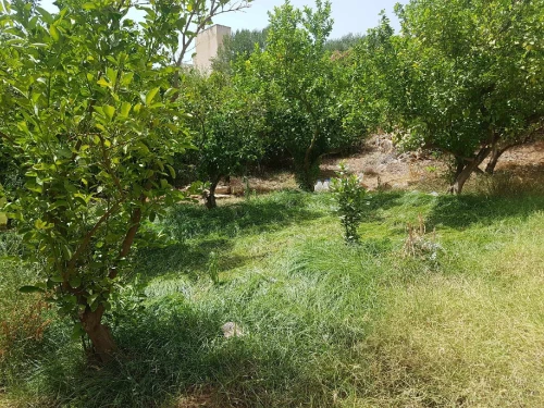 Vente Terrain Béjaïa Akbou