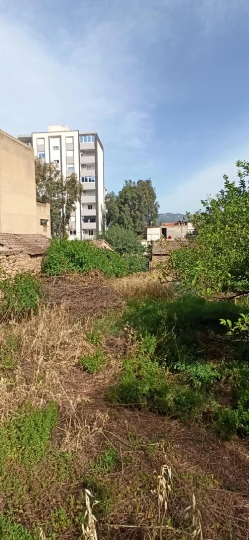 Vente Terrain Béjaïa Akbou