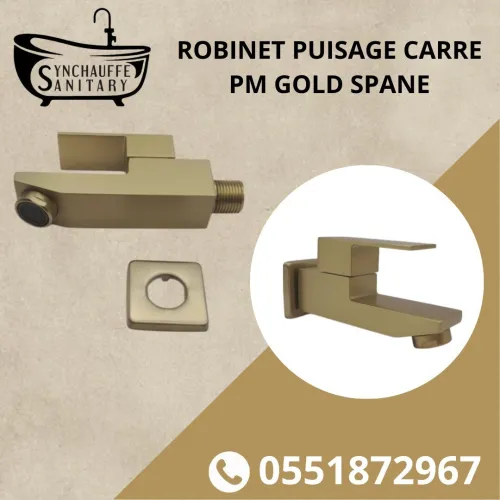 ROBINET PUISAGE SPANE