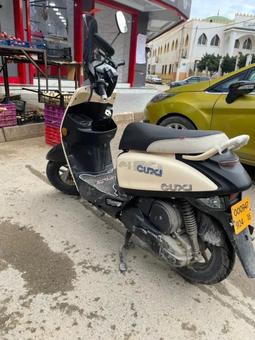 CU ه 2024