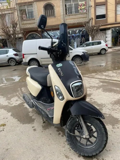 CU ه 2024