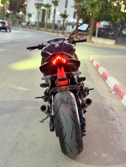 Kawazaki Z1000 2019