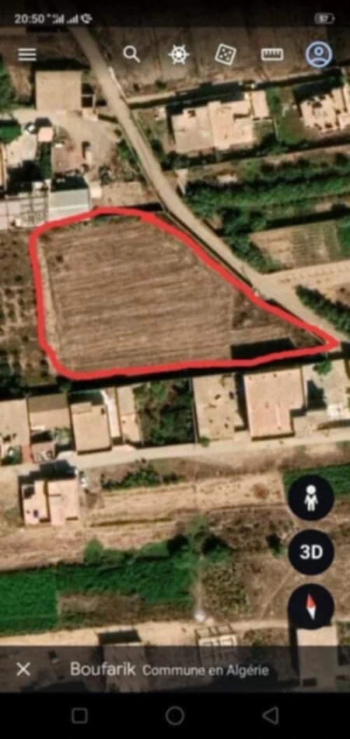 Vente Terrain Blida Boufarik