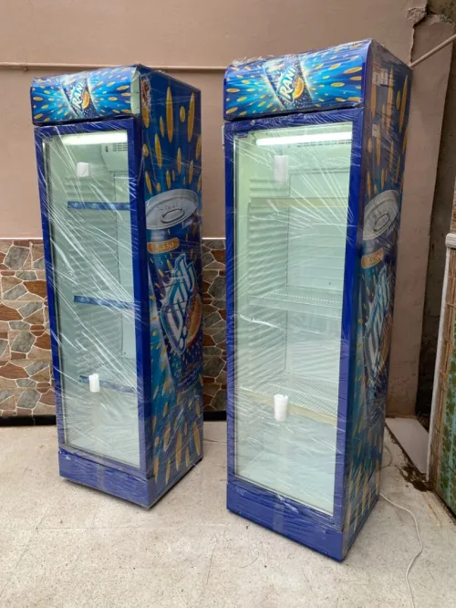 2 frigo Rani