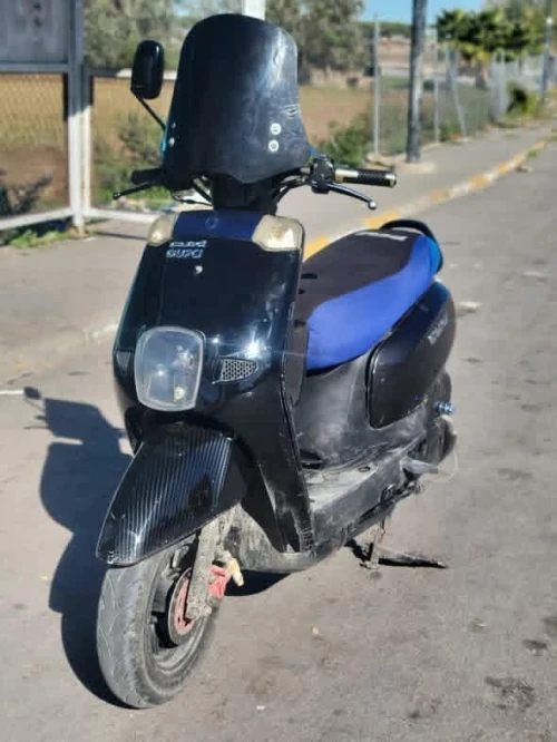 Cuxi Cuxi 1 2020