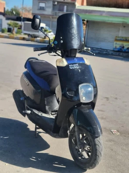 Cuxi Cuxi 1 2020