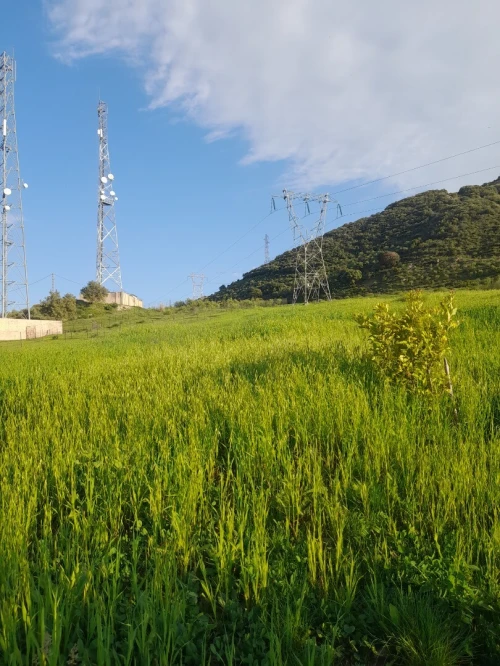 Vente Terrain Béjaïa Kherrata