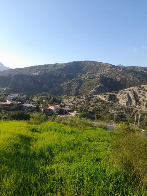 Vente Terrain Béjaïa Kherrata